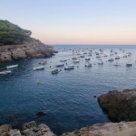 - Tropicana Tossa de Mar